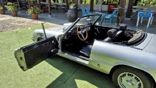 Foto 14 di 58: ALFA ROMEO Spider 1300 Junior - SUMMER PRICE 