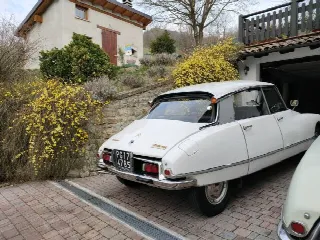 Foto 3 di 4: CITROEN DS IE Pallas 