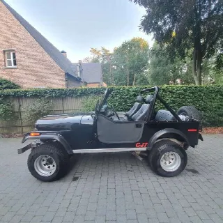 Foto 2 di 3: JEEP CJ 7 Renegade 