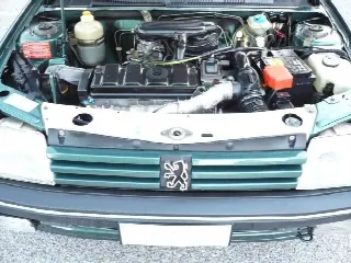 Foto 1 di 1: PEUGEOT 205 cabriolet roland garros 