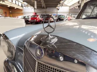 Foto 7 di 29: MERCEDES-BENZ 220 SE Coupè