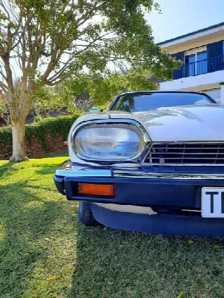 Foto 7 di 8: JAGUAR XJS(1975-1996) XJS 3.6 