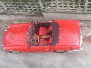 Foto 1 di 12: ALFA ROMEO SABRA SPORT SPIDER   