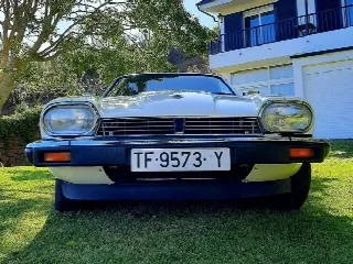 Foto 3 di 8: JAGUAR XJS(1975-1996) XJS 3.6 