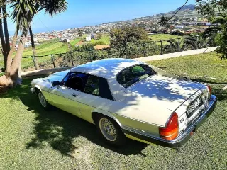 Foto 6 di 8: JAGUAR XJS(1975-1996) XJS 3.6 