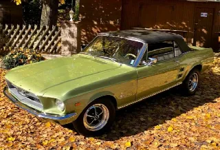 Foto 1 di 10: FORD Mustang 67  