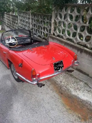 Foto 4 di 12: ALFA ROMEO SABRA SPORT SPIDER   