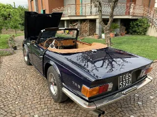 Foto 4 di 8: TRIUMPH TR6 PI 