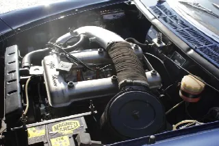 Foto 20 di 24: ALFA ROMEO Spider Osso di seppia 