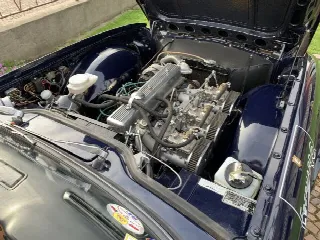 Foto 2 di 8: TRIUMPH TR6 PI 