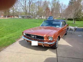Foto 1 di 5: FORD Mustang  