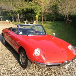Foto 8 di 10: ALFA ROMEO Duetto 1.6 osso di seppia 