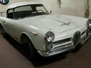 Foto 1 di 10: ALFA ROMEO 2000 Touring Spider