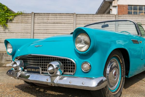 Immagine 95