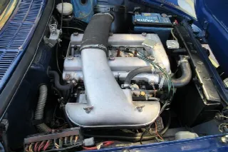 Foto 22 di 24: ALFA ROMEO Spider Osso di seppia 