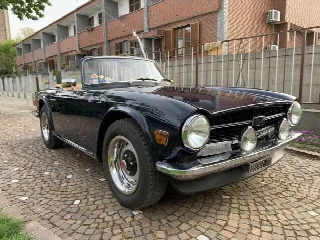 Foto 6 di 8: TRIUMPH TR6 PI 