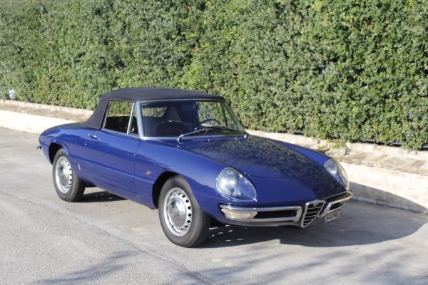 ALFA ROMEO Spider Osso di seppia 