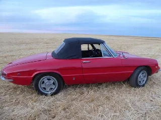 Foto 6 di 6: ALFA ROMEO Spider  