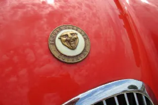 Foto 15 di 40: JAGUAR XK 120 OTS SE 