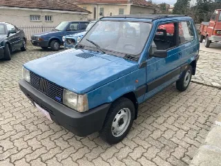 Foto 1 di 10: FIAT Panda 4x4 Tetto Apribile 