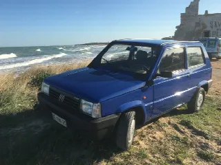 Foto 2 di 4: FIAT Panda Young 900 