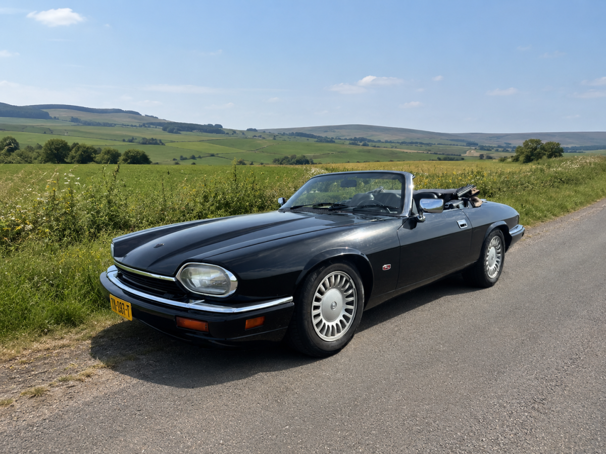 JAGUAR Other