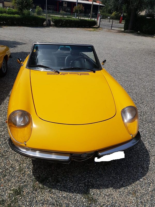 ALFA ROMEO Spider  
