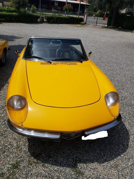 ALFA ROMEO Spider  