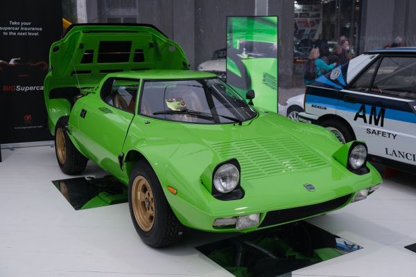 Immagine 8