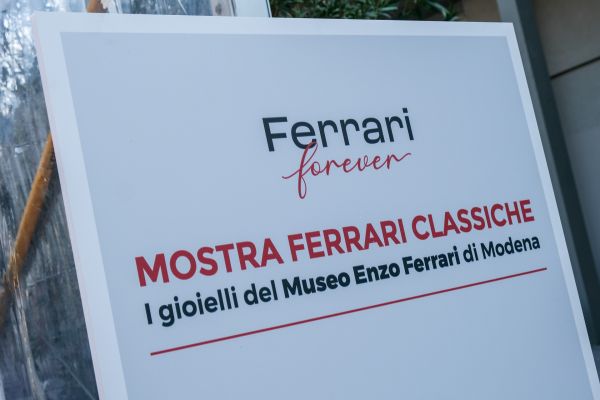 Immagine 14