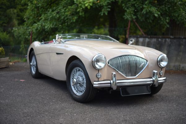 AUSTIN HEALEY 100 BN1 