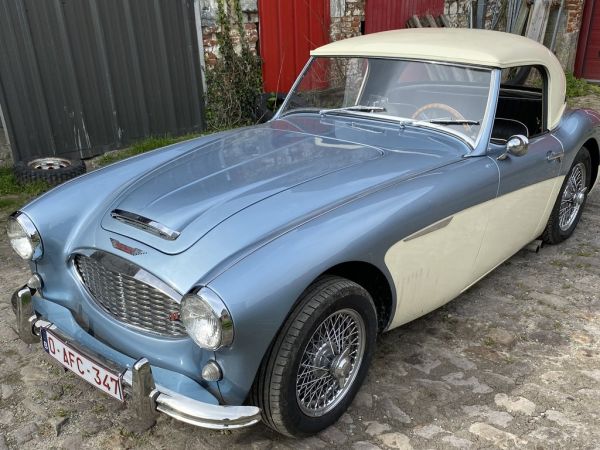 AUSTIN HEALEY Other