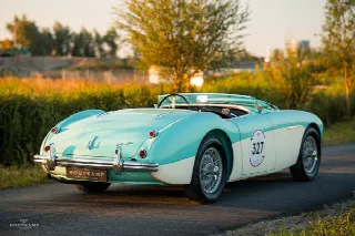 Foto 6 di 14: AUSTIN HEALEY 100M Very rare genuine factory built 100 M Le Mans. Complete with 100M Le Mans Registry certificate. Mille Miglia Eligible 