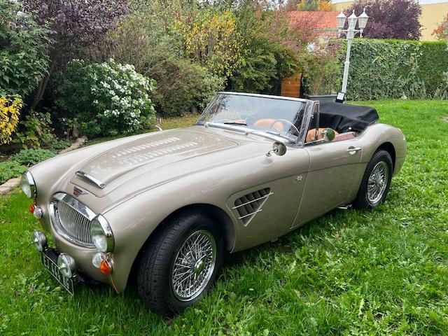AUSTIN HEALEY Other