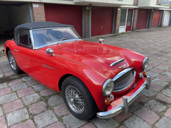 AUSTIN HEALEY Other