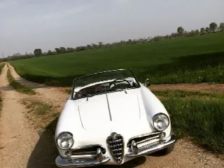 Foto 1 di 1: ALFA ROMEO Giulietta Spider 750 D 1957  1.3