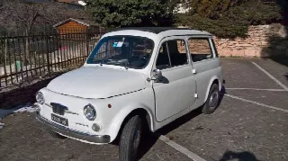 Foto 8 di 8: AUTOBIANCHI Bianchina giardiniera 