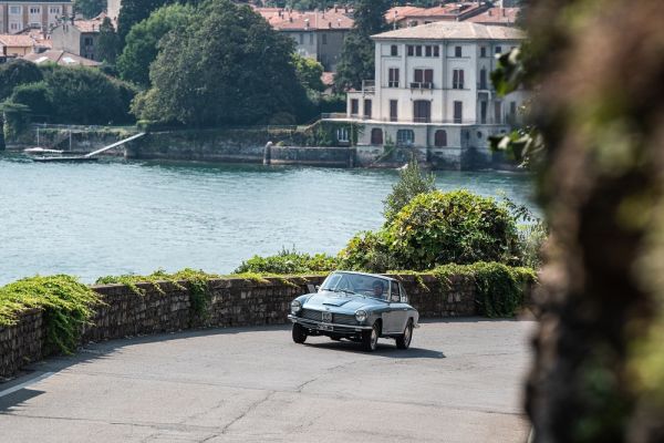 Immagine 7