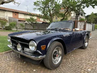Foto 7 di 8: TRIUMPH TR6 PI 