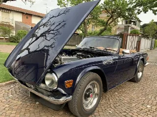 Foto 3 di 8: TRIUMPH TR6 PI 