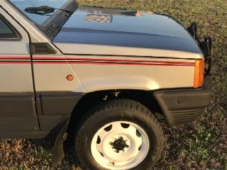 Foto 3 di 9: FIAT Panda 4×4 