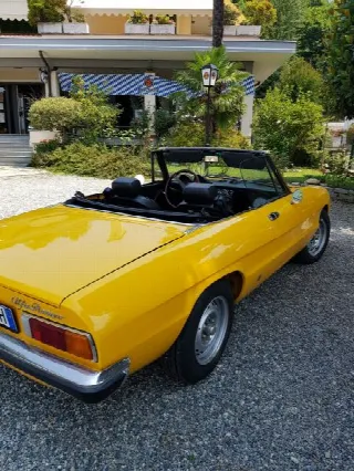 Foto 5 di 7: ALFA ROMEO Spider duetto 