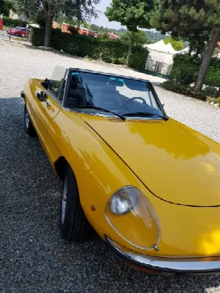 Foto 2 di 7: ALFA ROMEO Spider duetto 
