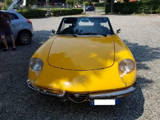 Foto 4 di 7: ALFA ROMEO Spider duetto 