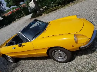 Foto 3 di 7: ALFA ROMEO Spider duetto 