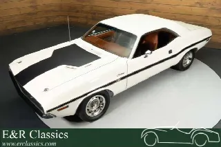 Foto 3 di 10: DODGE Other 