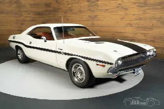 Foto 4 di 10: DODGE Other 