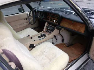 Foto 3 di 6: JENSEN Interceptor  