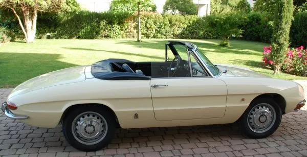 ALFA ROMEO Spider osso di seppia