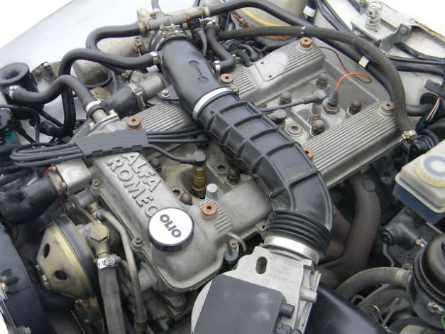 ALFA ROMEO Spider  